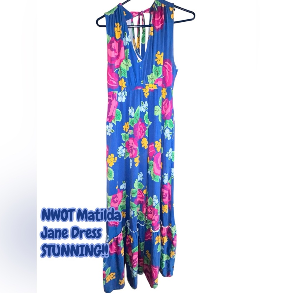 NWOT Matilda Jane Floral Maxi Dress Blue Pink Rose - Size M